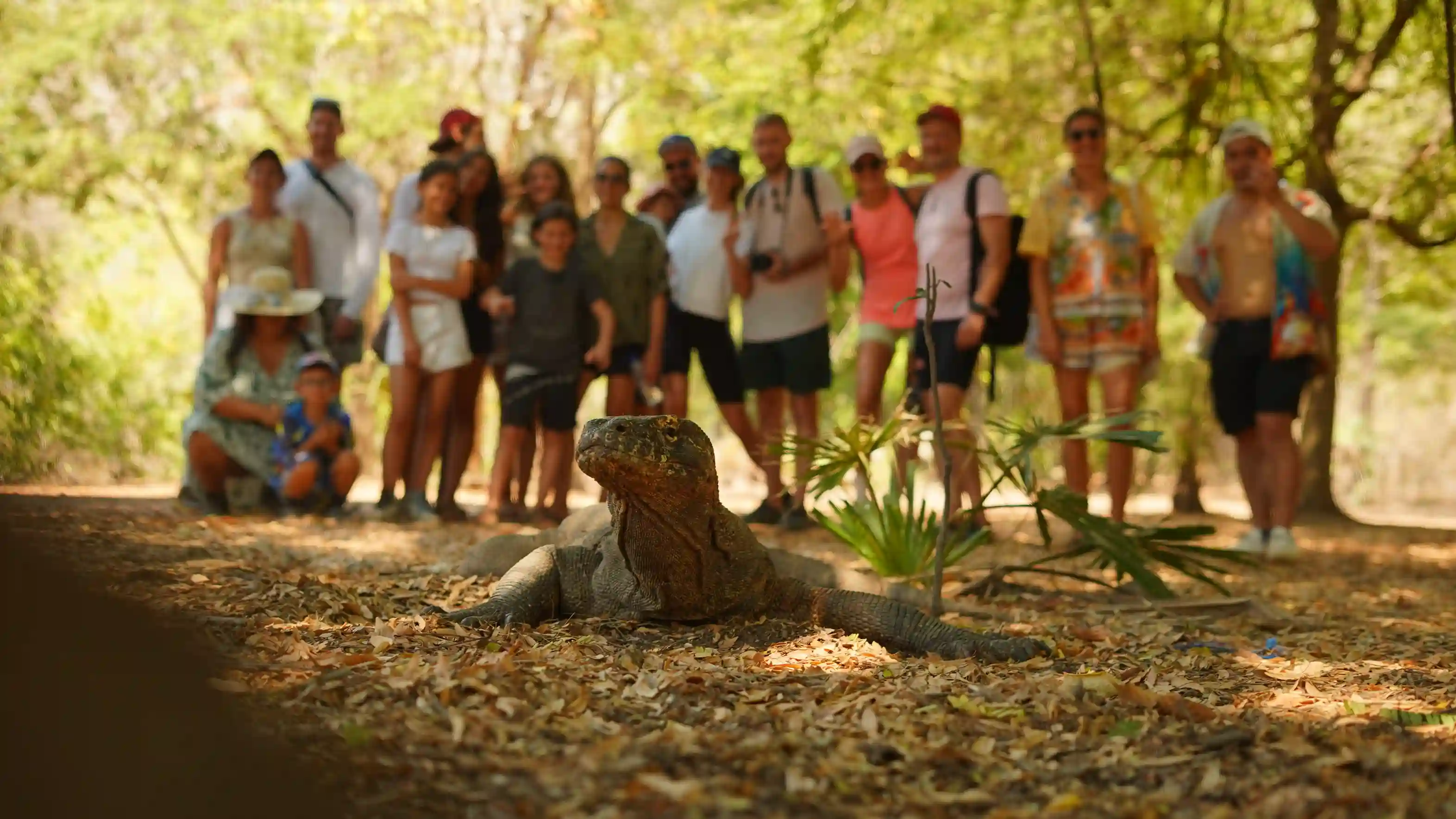 Open/Share Trip Tour Package | Komodo National Park, Komodo Island, Labuan Bajo | Komodo Luxury