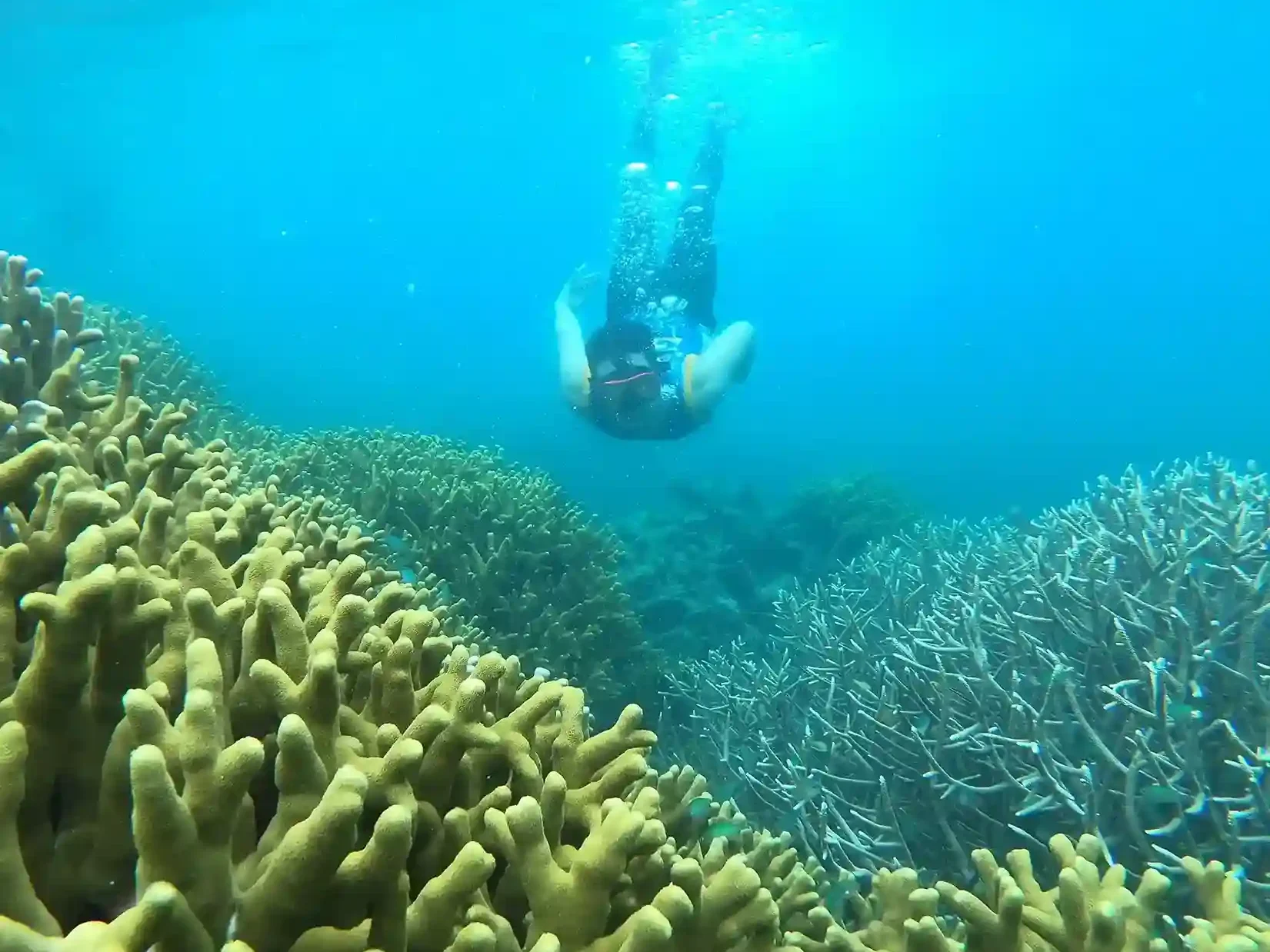 Sauwandarek Island | Raja Ampat Tour Packages | Komodo Luxury