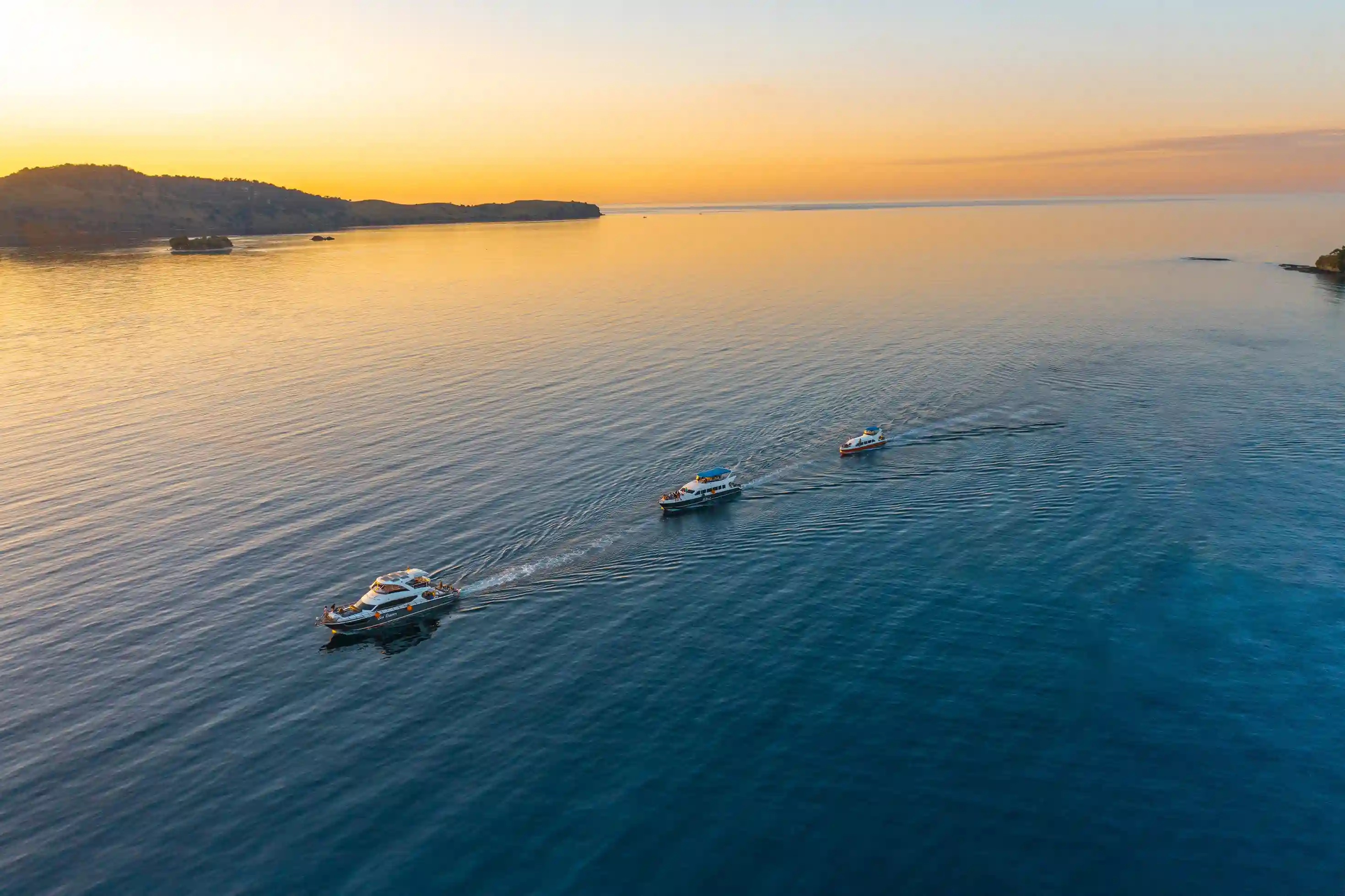 One Day Trip Tour Package | Komodo National Park, Komodo Island, Labuan Bajo | Komodo Luxury