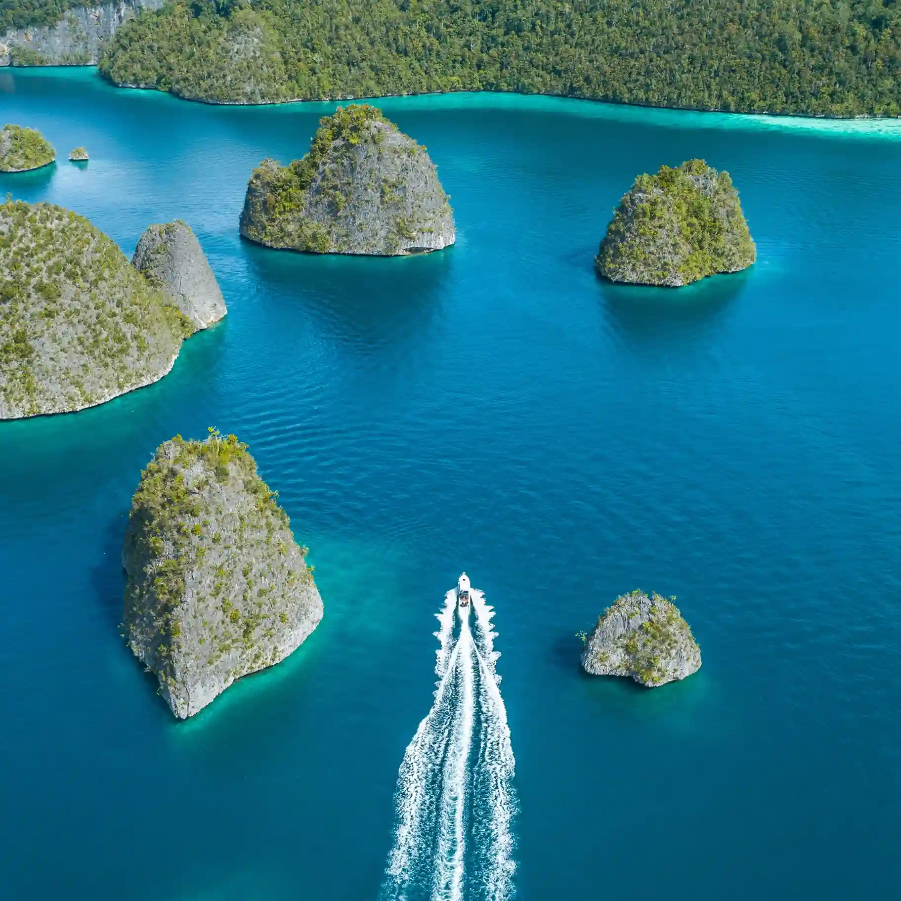 Raja Ampat Speedboat Tour by Komodo Luxury